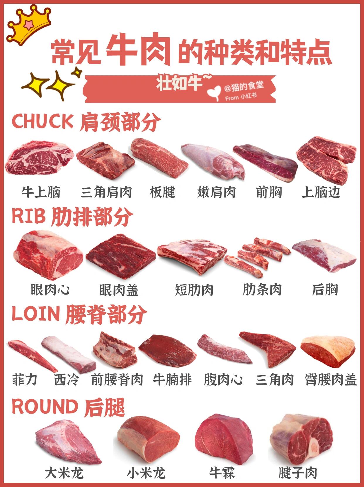 『🐂科普』常见牛肉的区别与用途🥩 第 1 张参考图