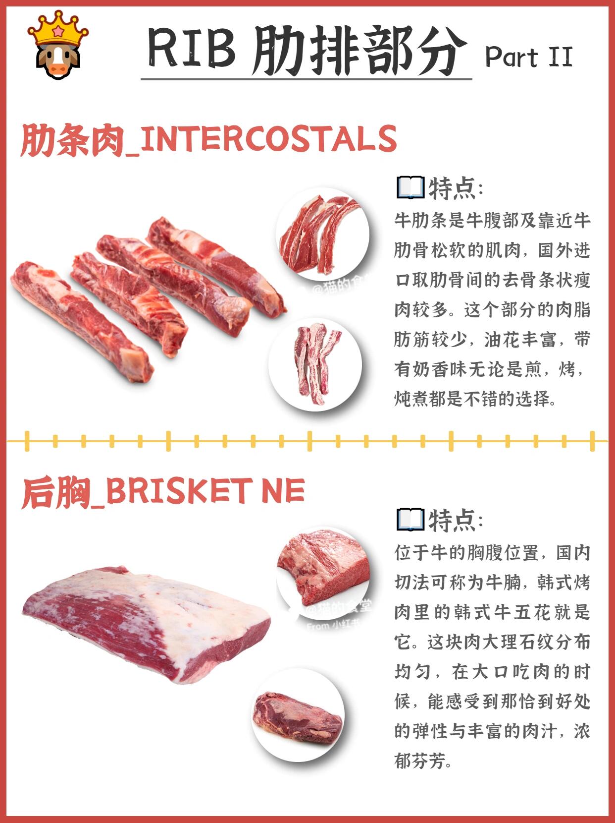 『🐂科普』常见牛肉的区别与用途🥩 第 5 张参考图