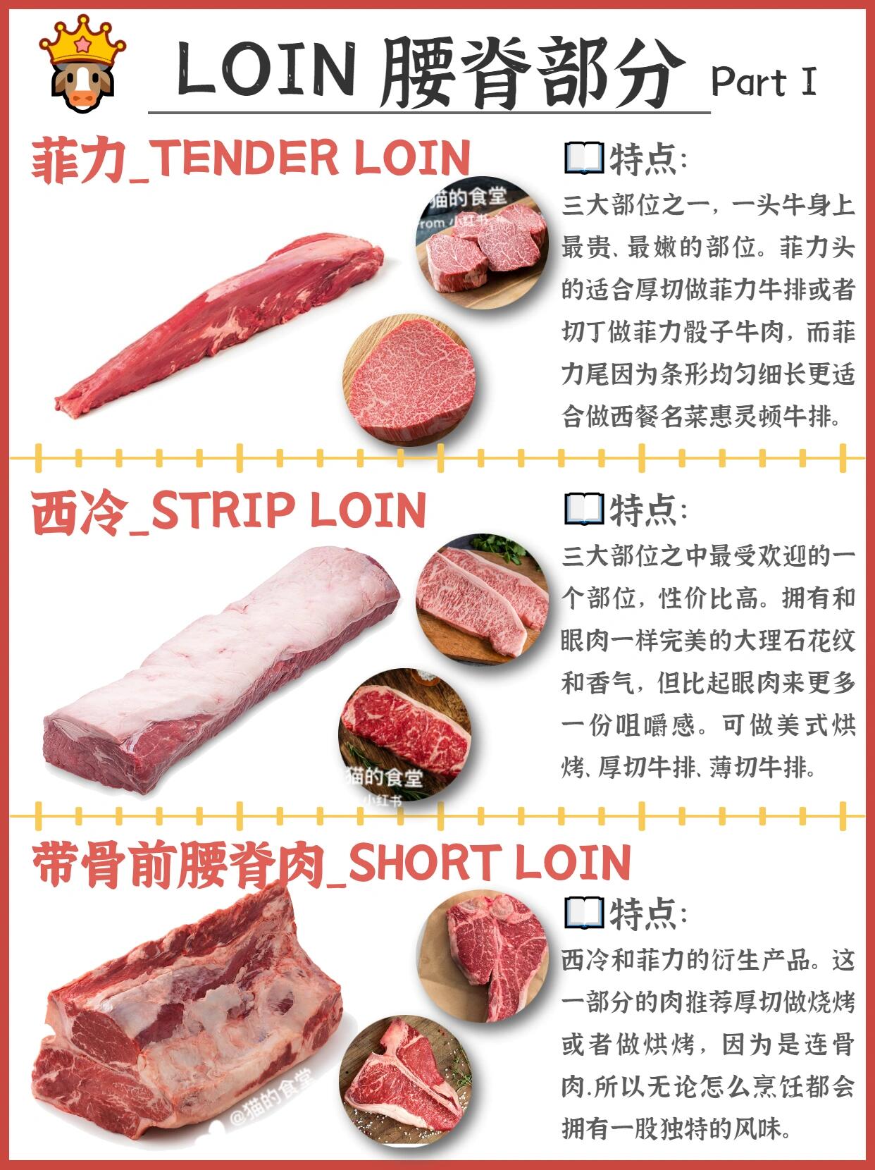 『🐂科普』常见牛肉的区别与用途🥩 第 6 张参考图