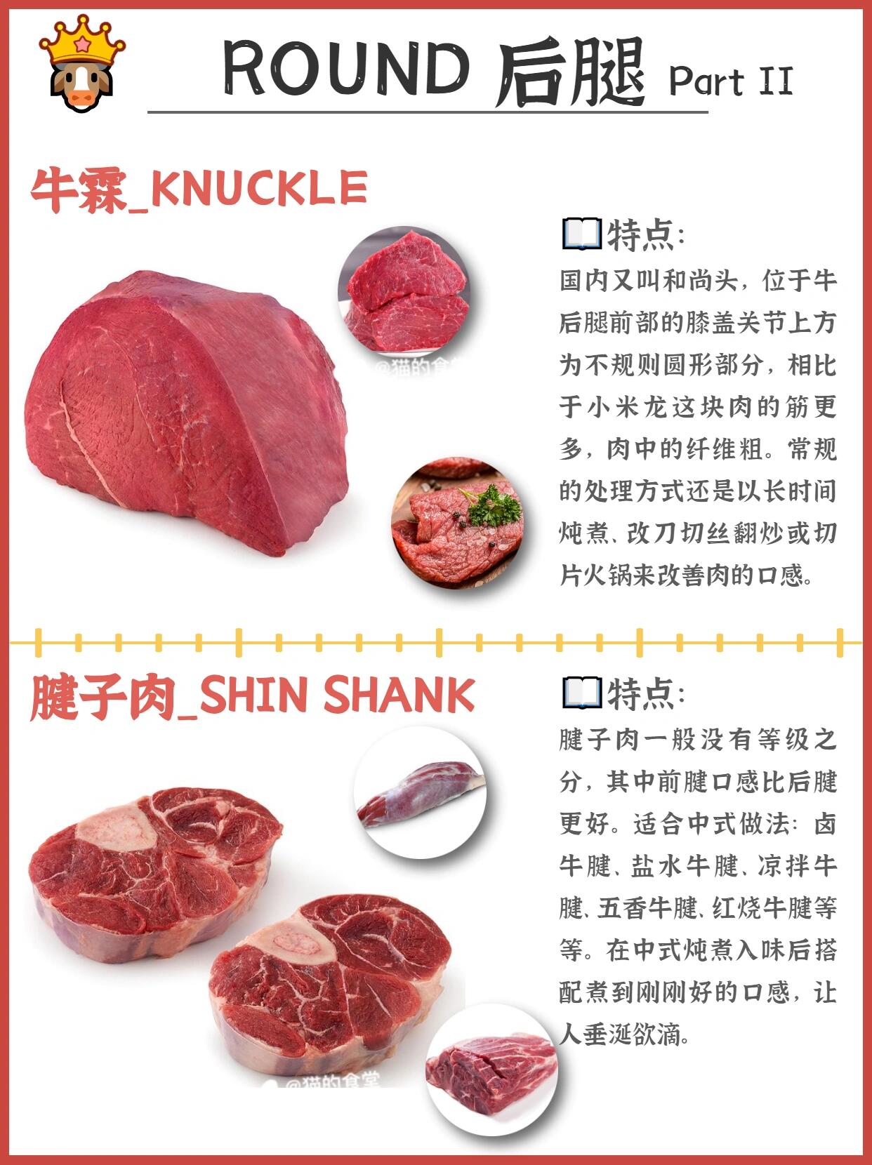 『🐂科普』常见牛肉的区别与用途🥩 第 9 张参考图