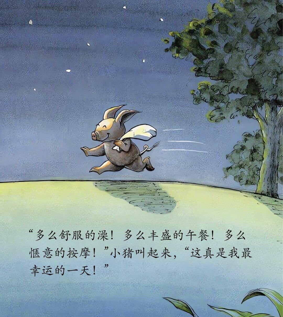 儿童绘本故事分享——《我的幸运一天》 第 18 张参考图