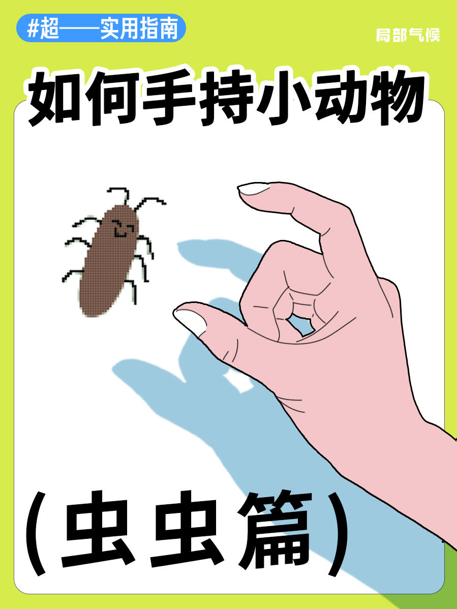 超实用指南 | 如何正确手持蟑螂🪳 第 1 张参考图