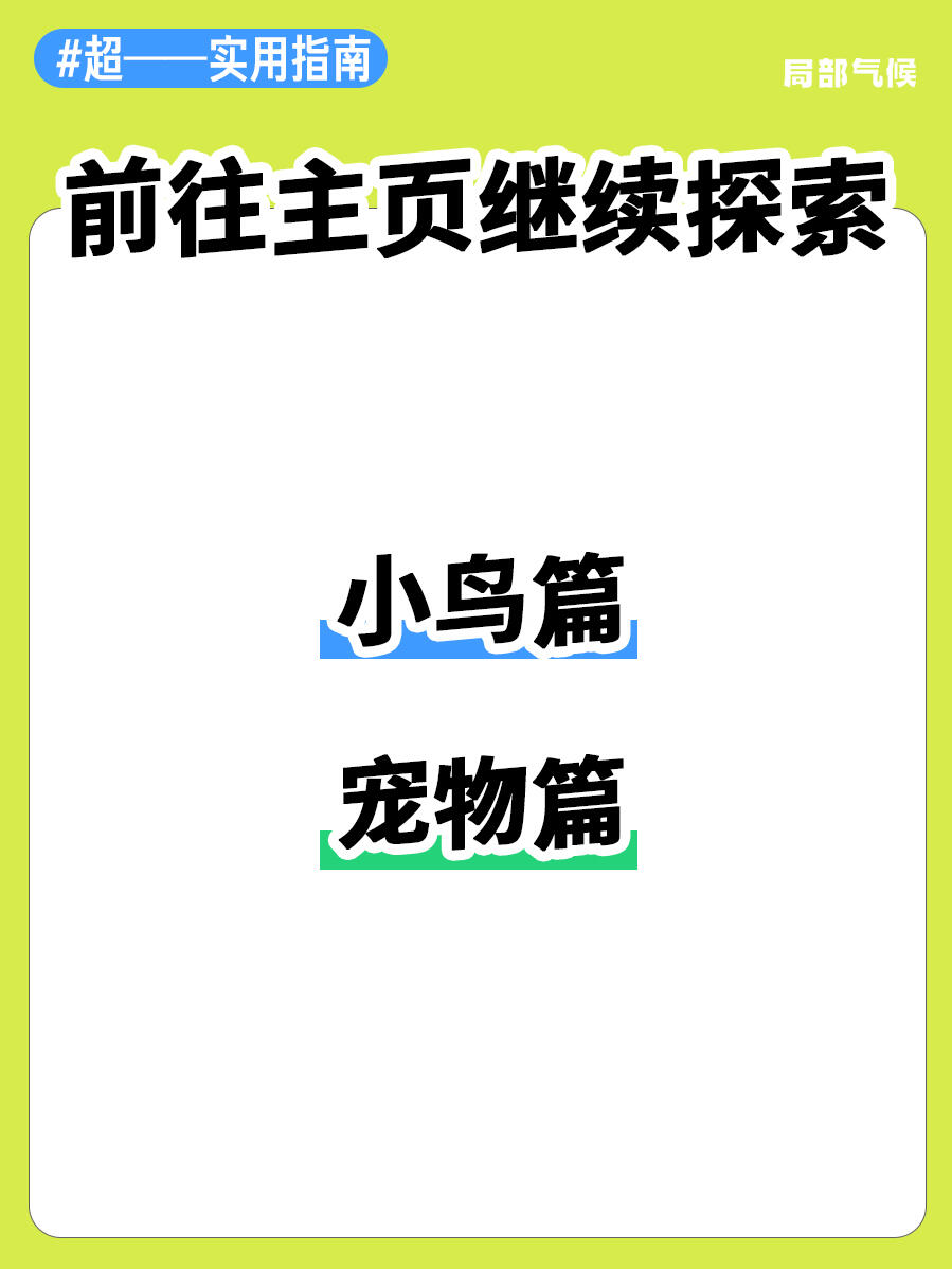 超实用指南 | 如何正确手持蟑螂🪳 第 8 张参考图