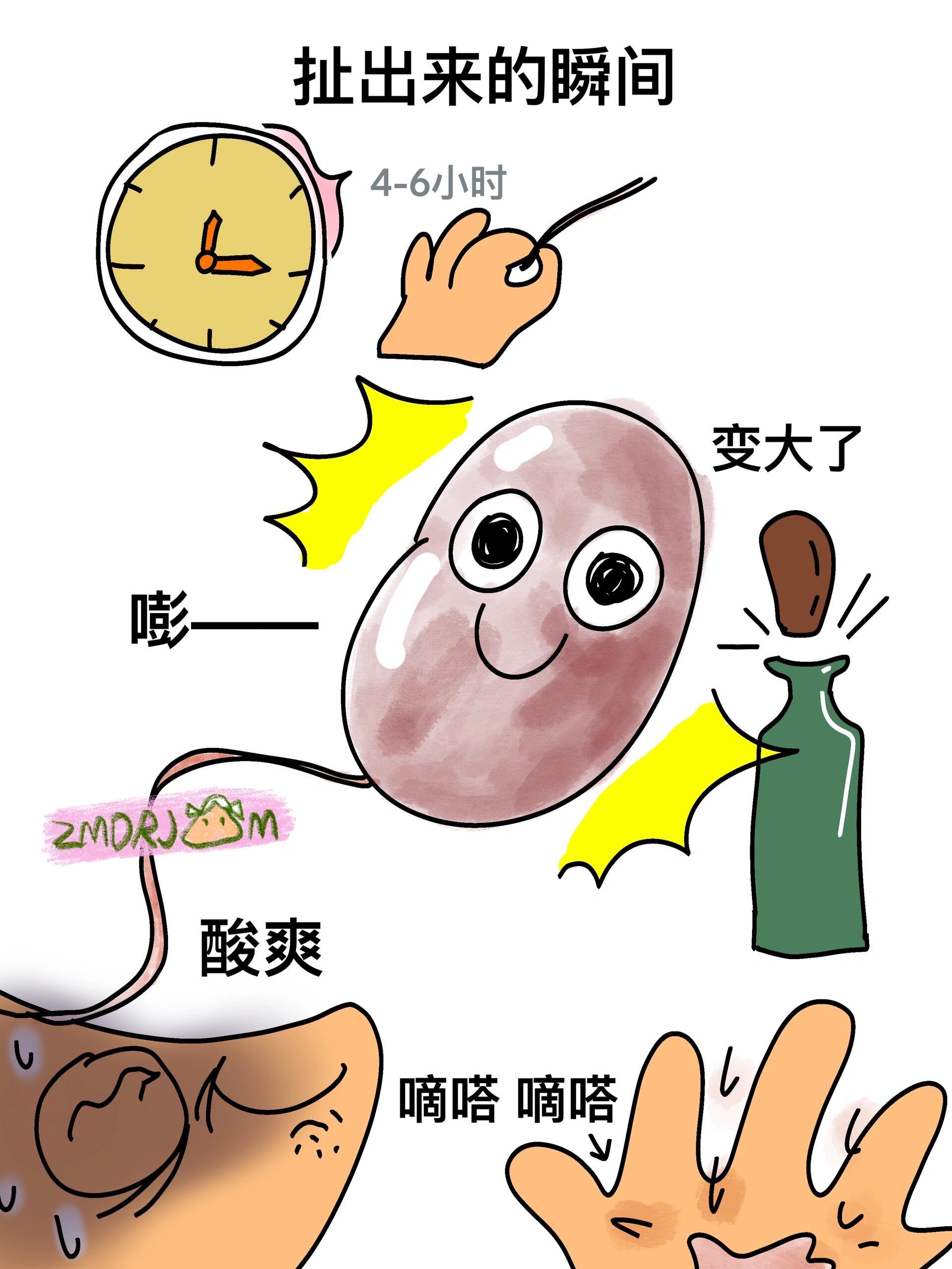 卫生棉条冷知识 第 3 张参考图