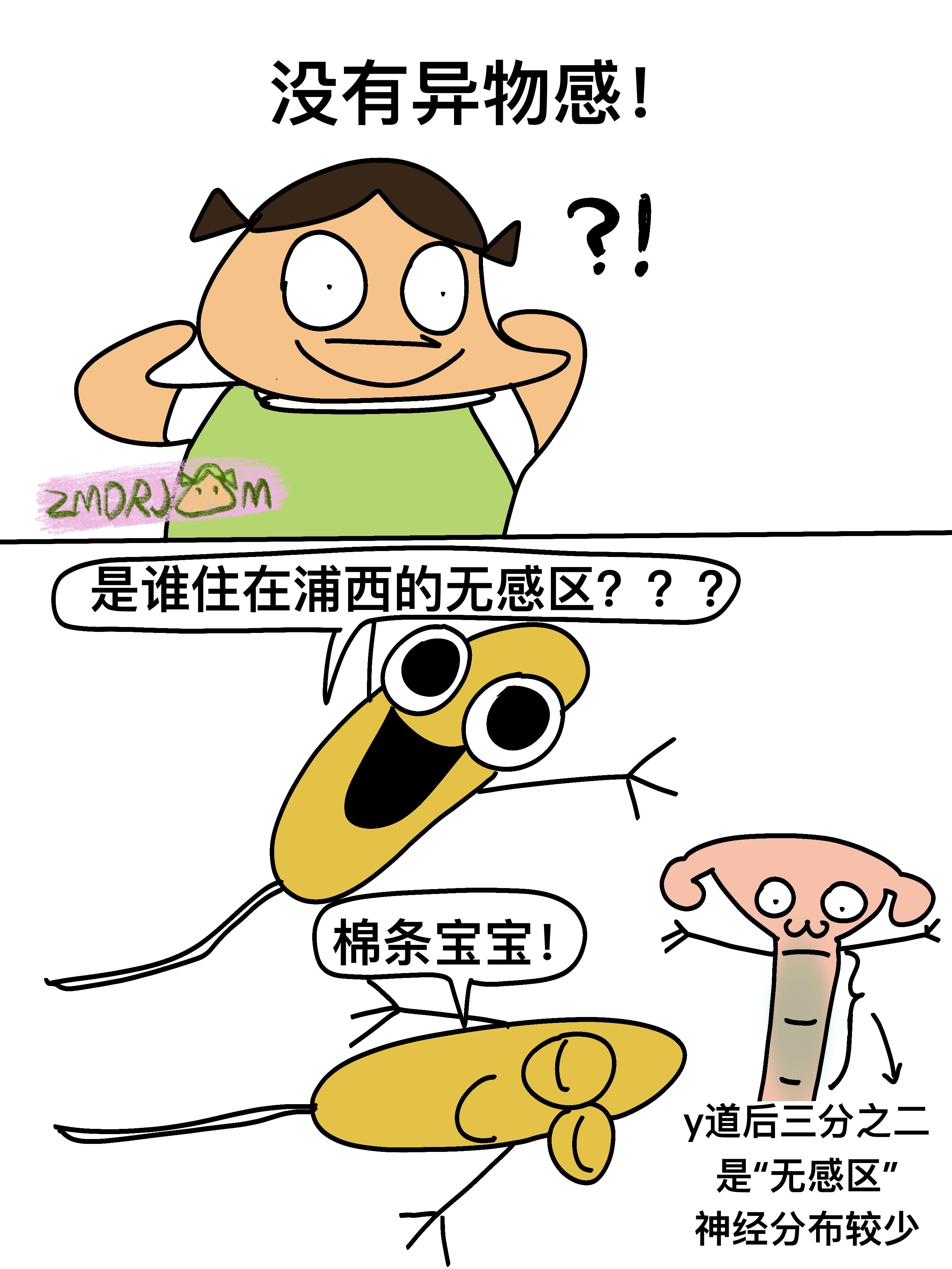 卫生棉条冷知识 第 5 张参考图