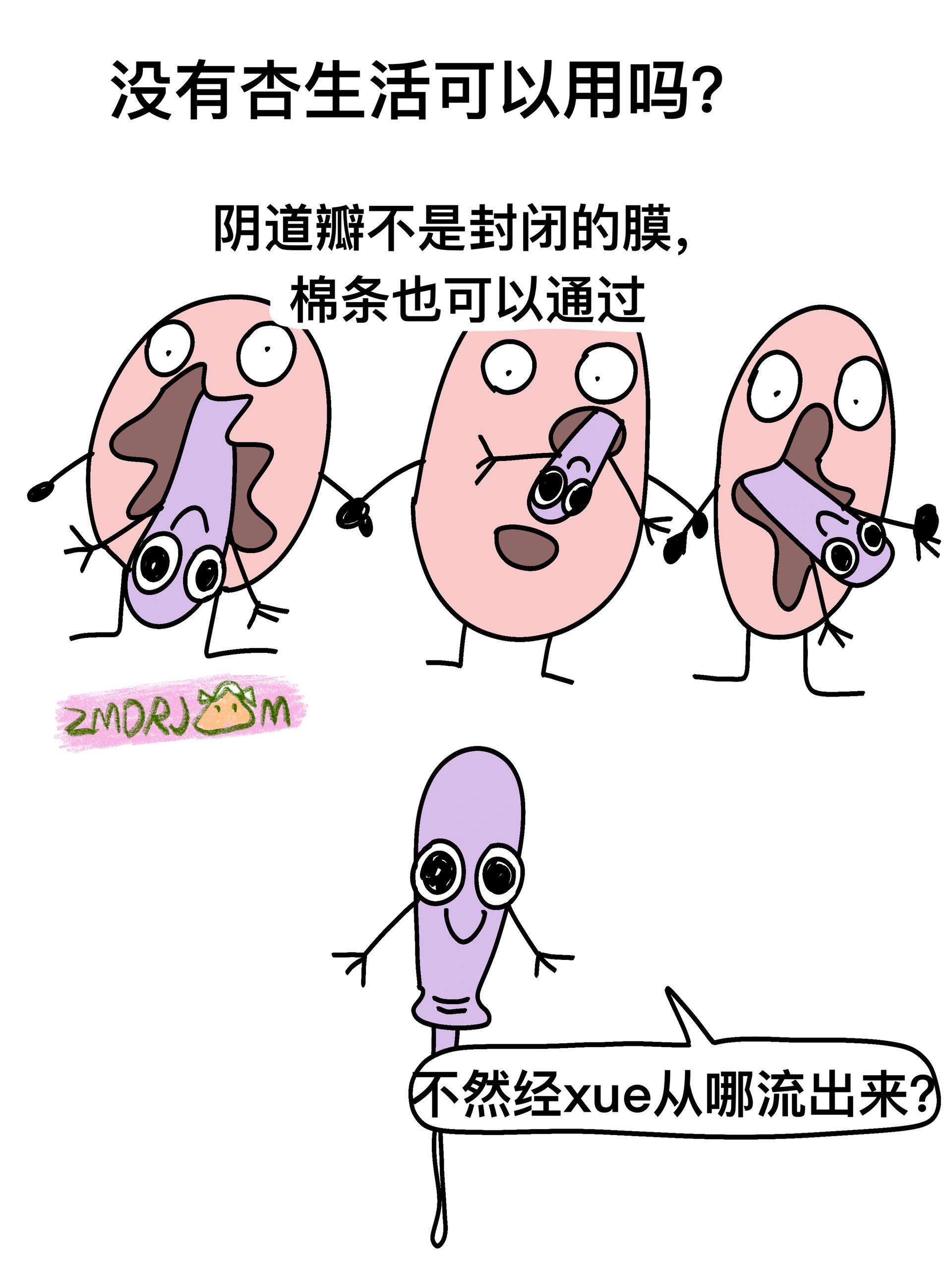 卫生棉条冷知识 第 8 张参考图