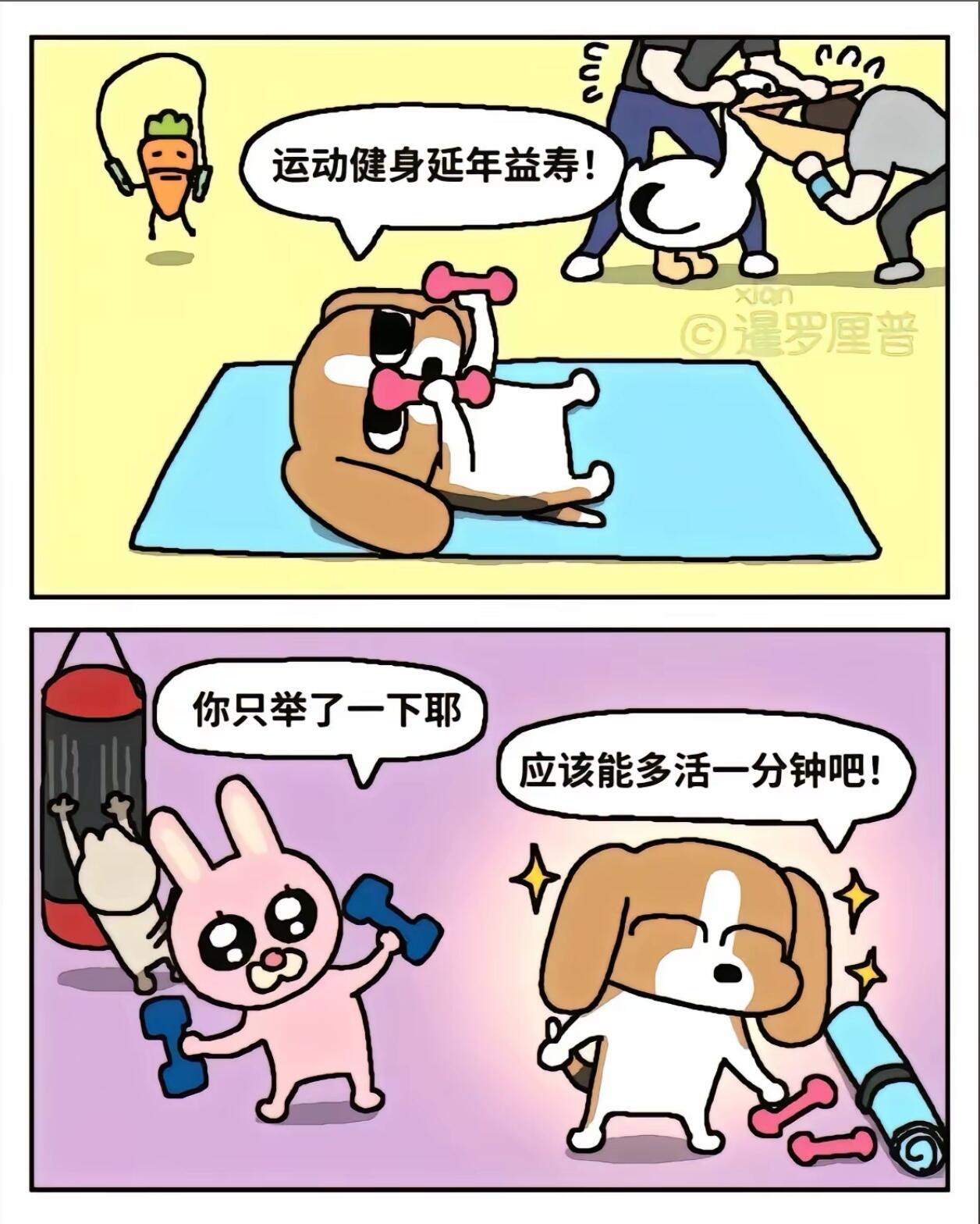中国人有自己的chiikawa 第 2 张参考图