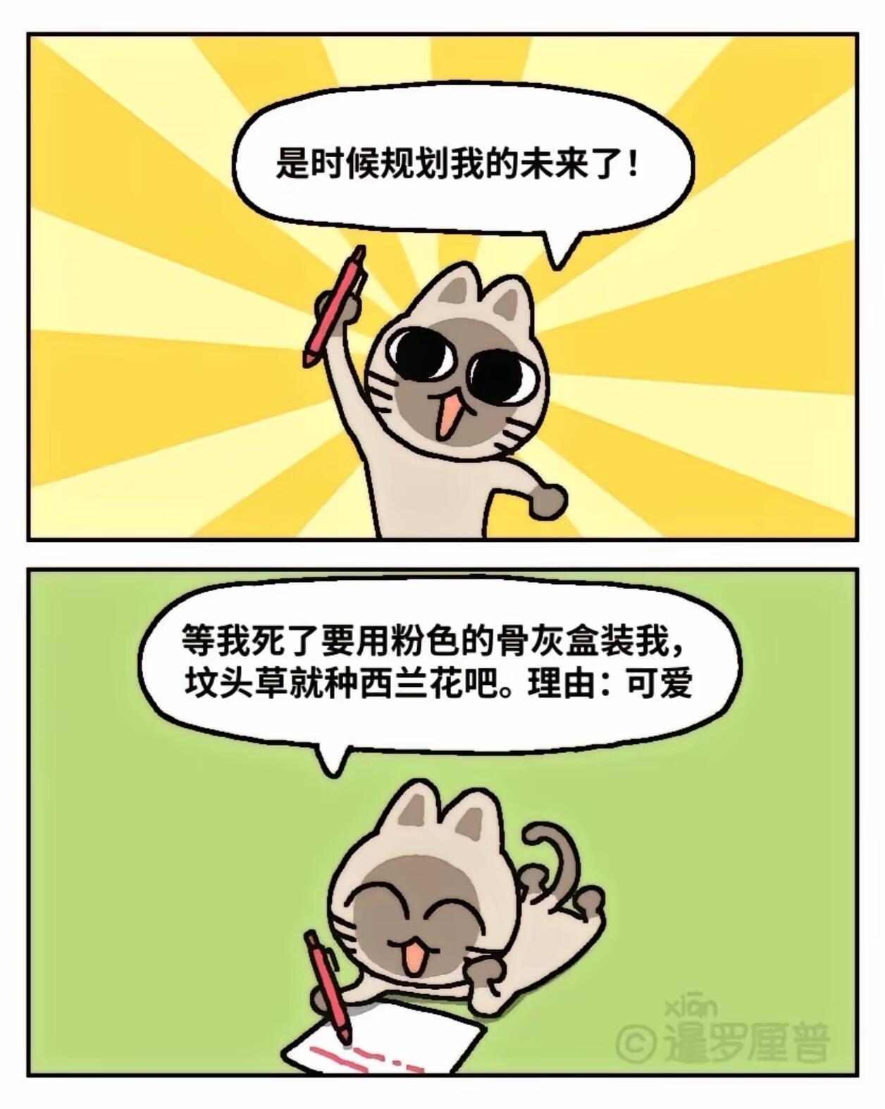 中国人有自己的chiikawa 第 4 张参考图