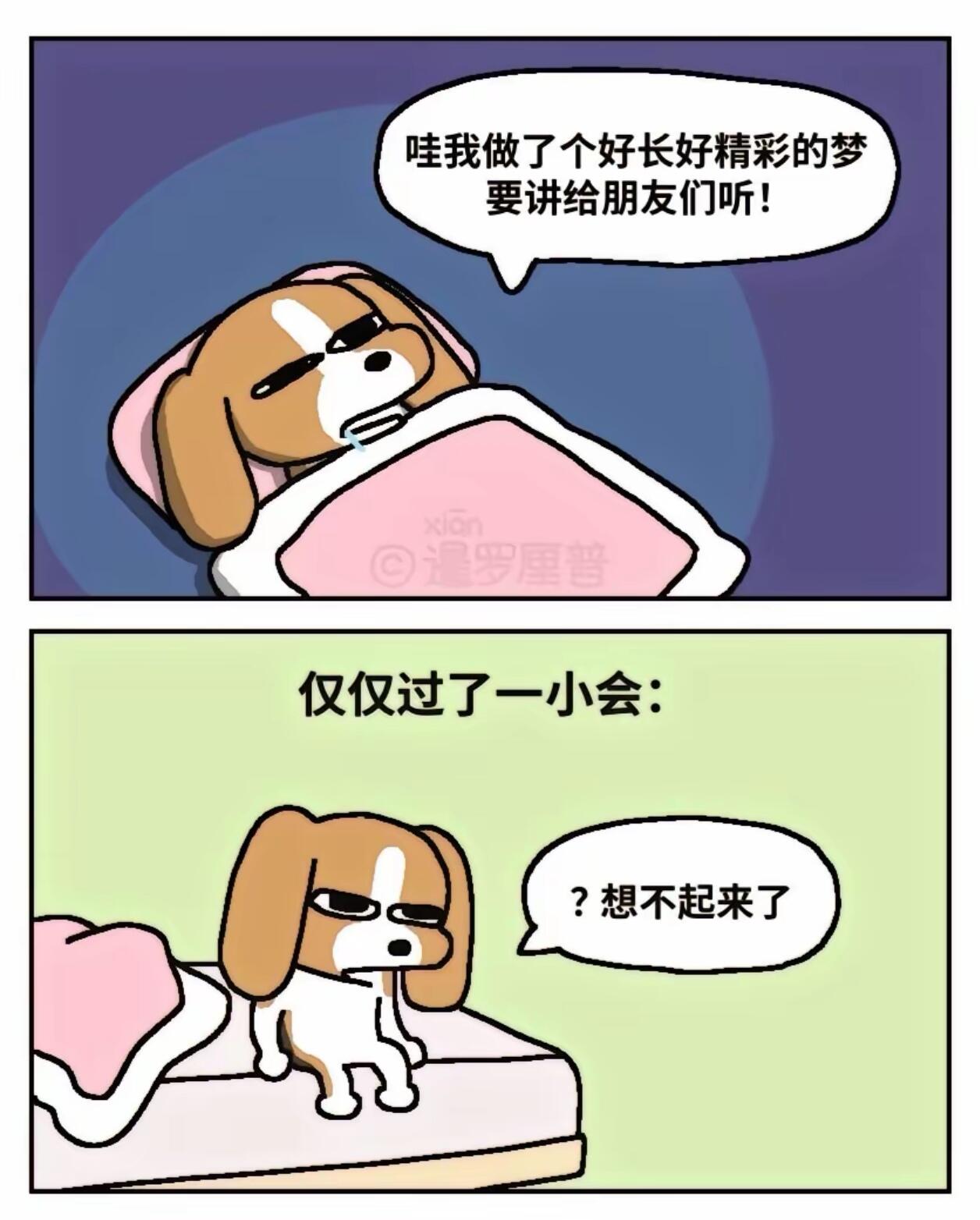 中国人有自己的chiikawa 第 5 张参考图