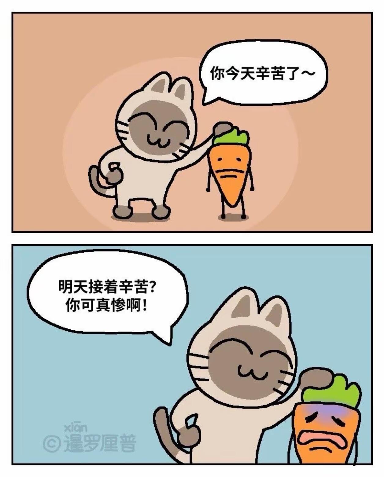 中国人有自己的chiikawa 第 6 张参考图