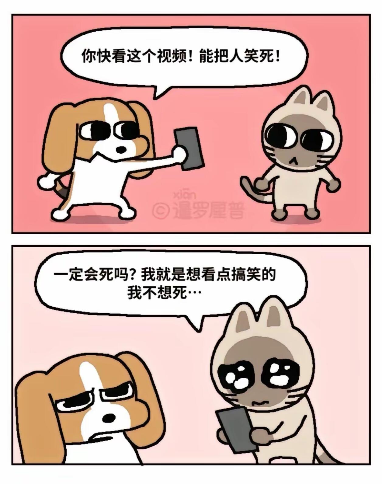 中国人有自己的chiikawa 第 7 张参考图
