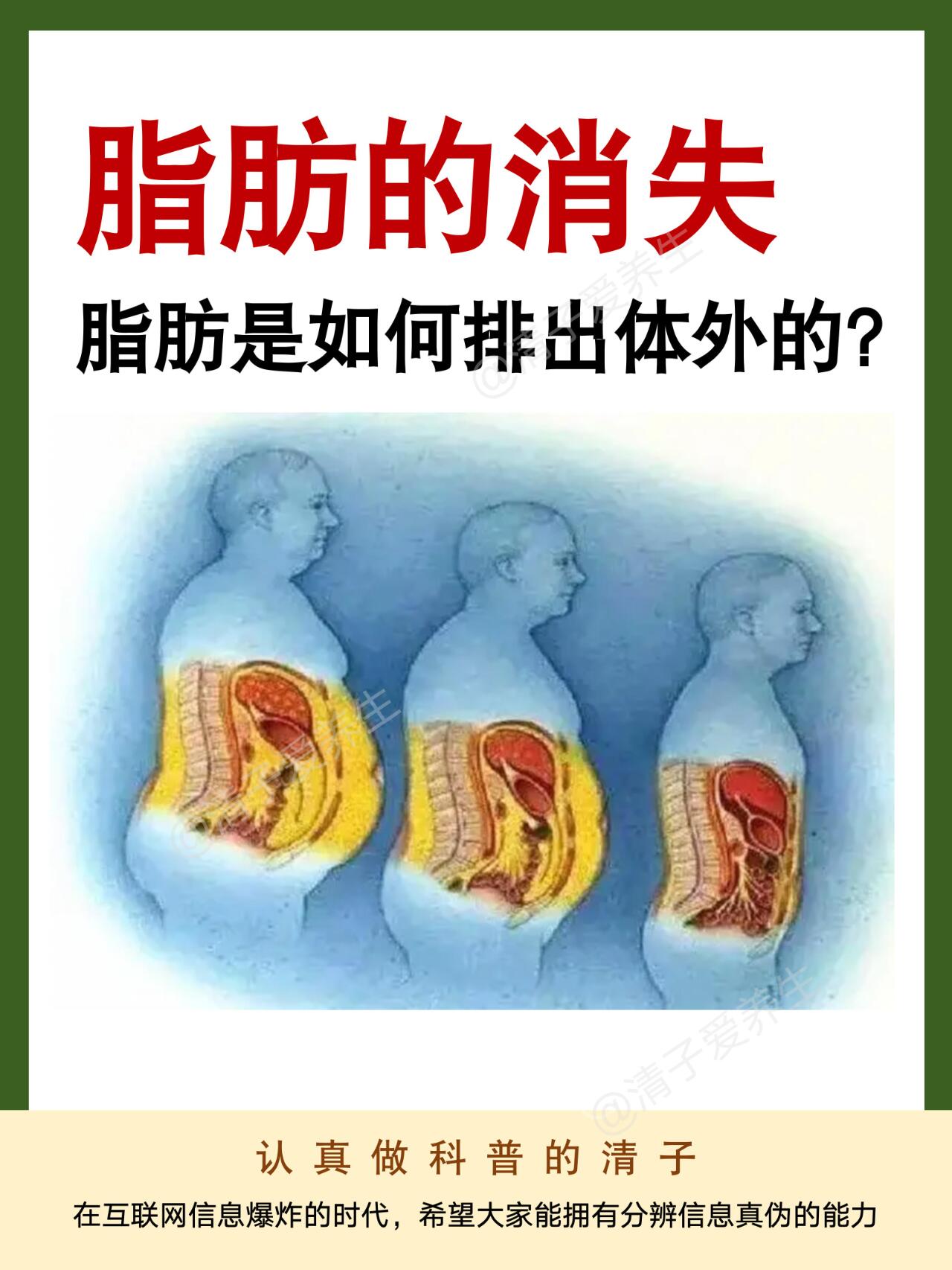 【科普】减肥必看！脂肪是怎么排出体外的？ 第 1 张参考图