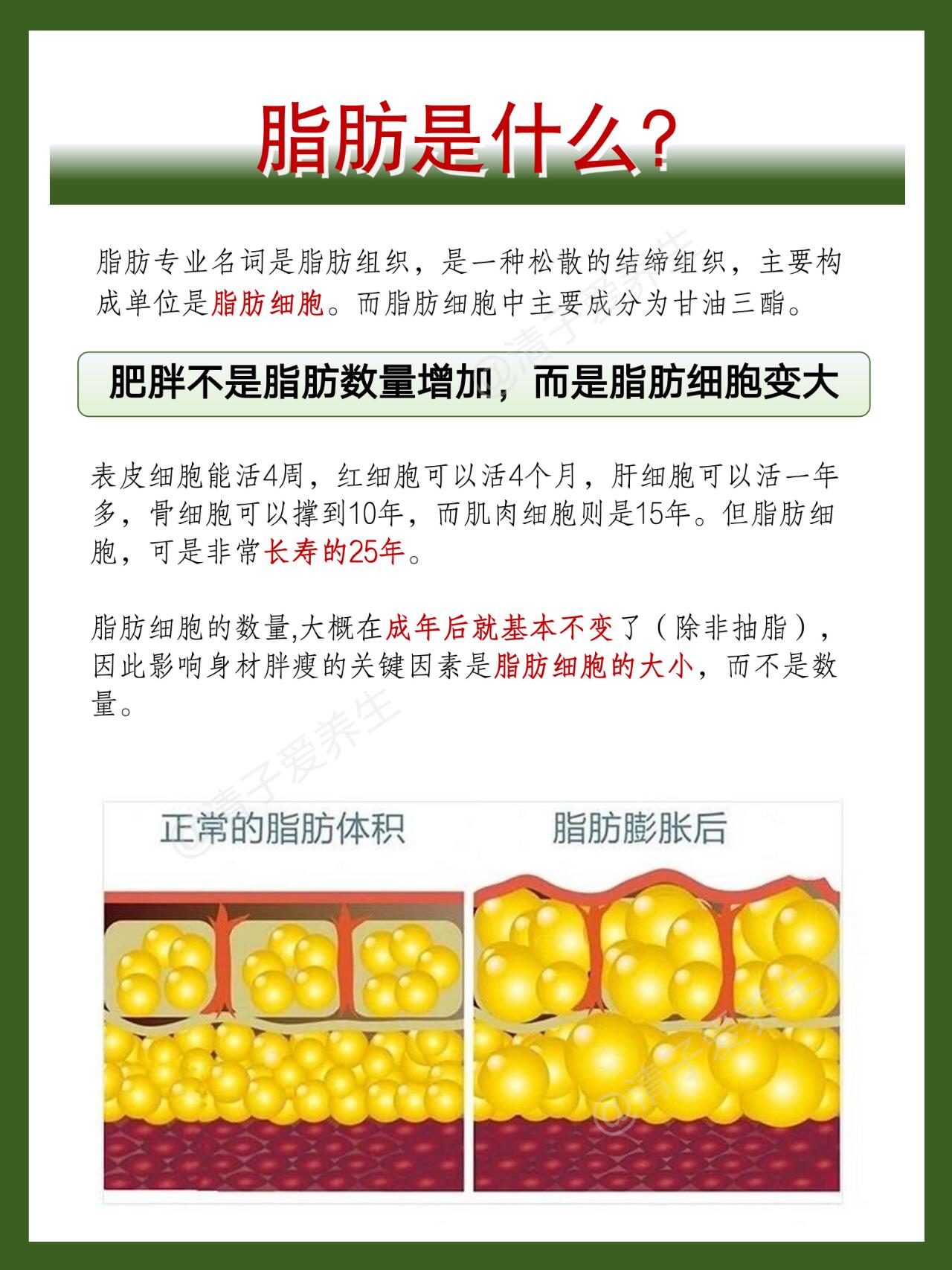 【科普】减肥必看！脂肪是怎么排出体外的？ 第 2 张参考图