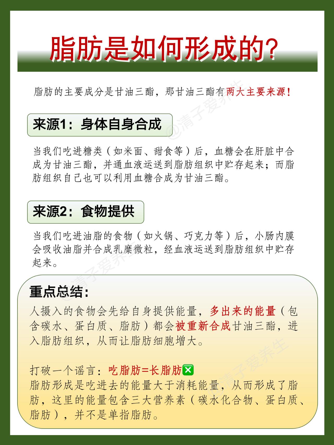 【科普】减肥必看！脂肪是怎么排出体外的？ 第 3 张参考图
