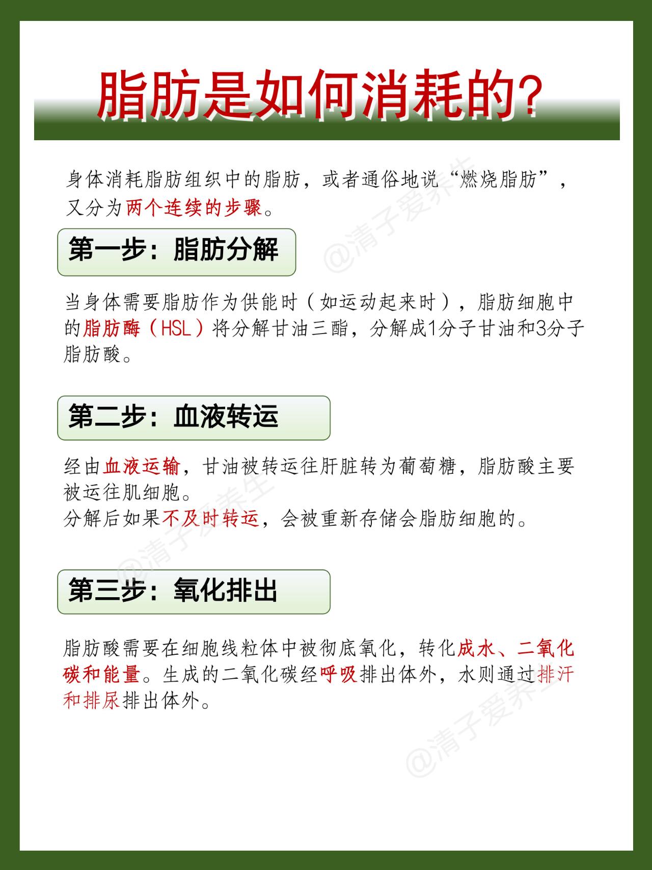 【科普】减肥必看！脂肪是怎么排出体外的？ 第 4 张参考图