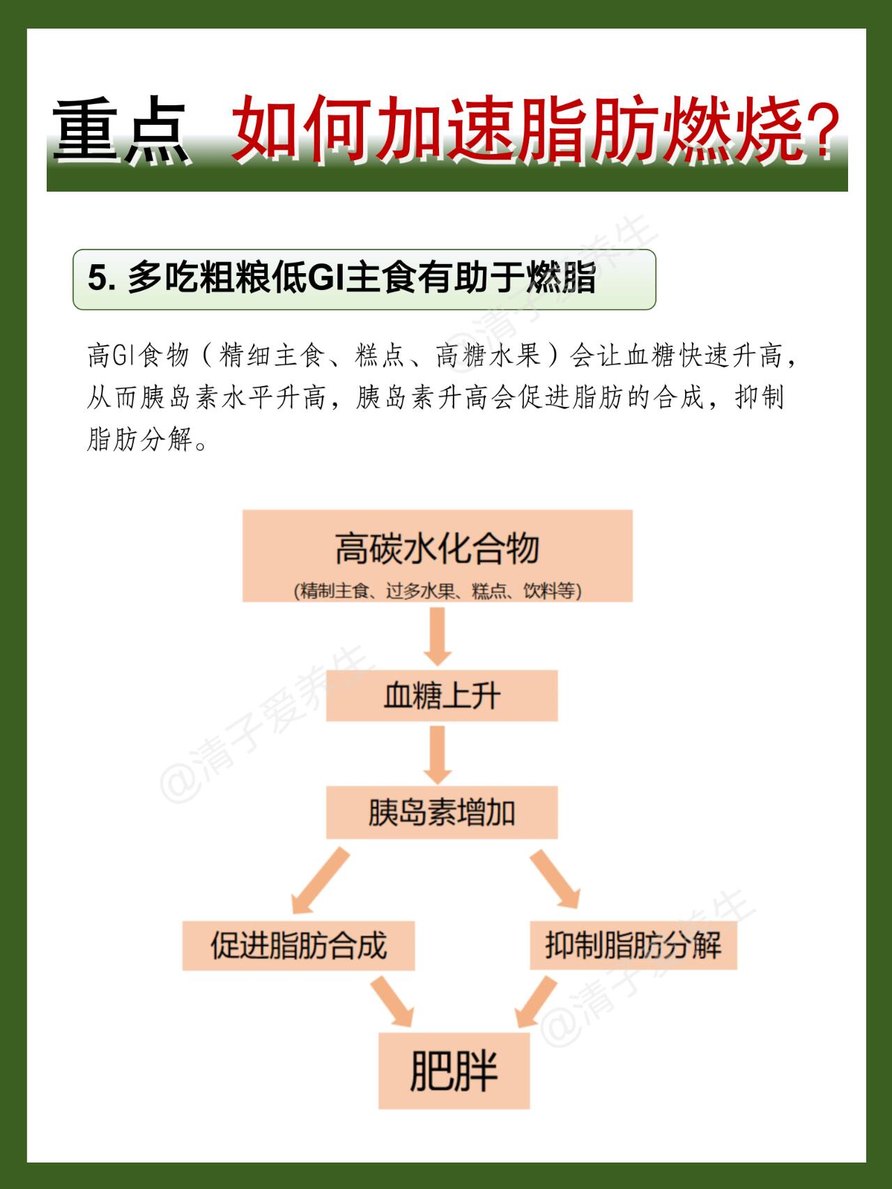 【科普】减肥必看！脂肪是怎么排出体外的？ 第 7 张参考图