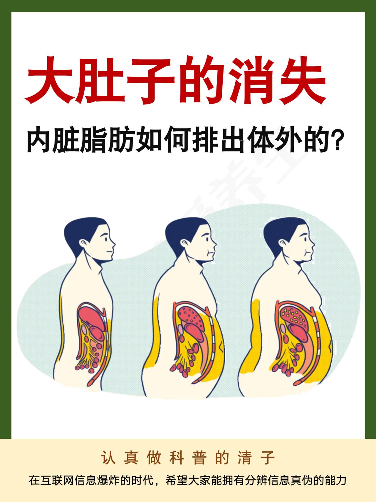 【科普】👍4种方法减掉大肚子内脏脂肪！ 第 1 张参考图