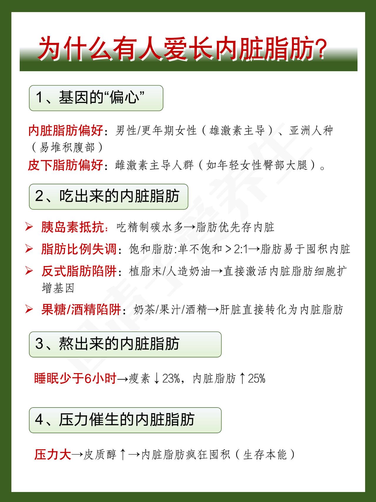 【科普】👍4种方法减掉大肚子内脏脂肪！ 第 3 张参考图