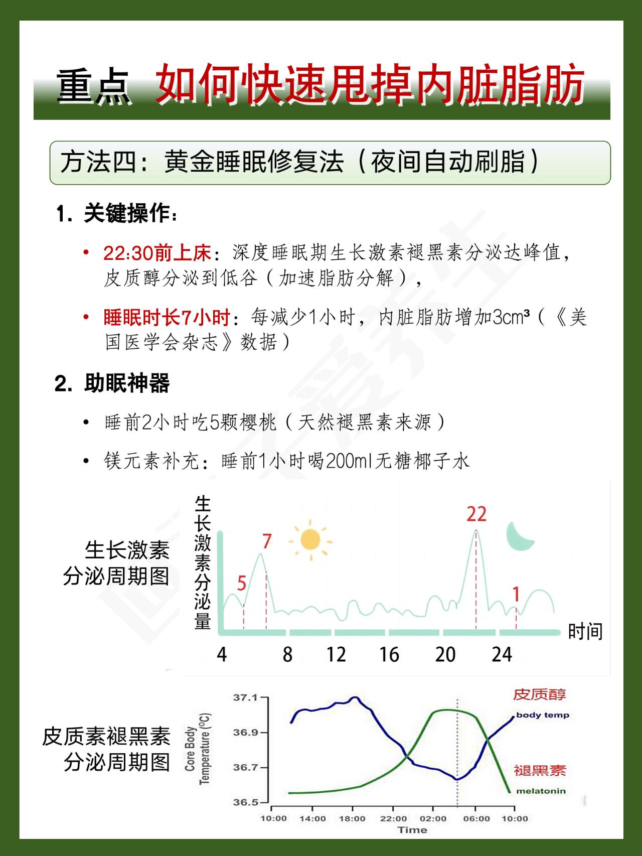 【科普】👍4种方法减掉大肚子内脏脂肪！ 第 7 张参考图