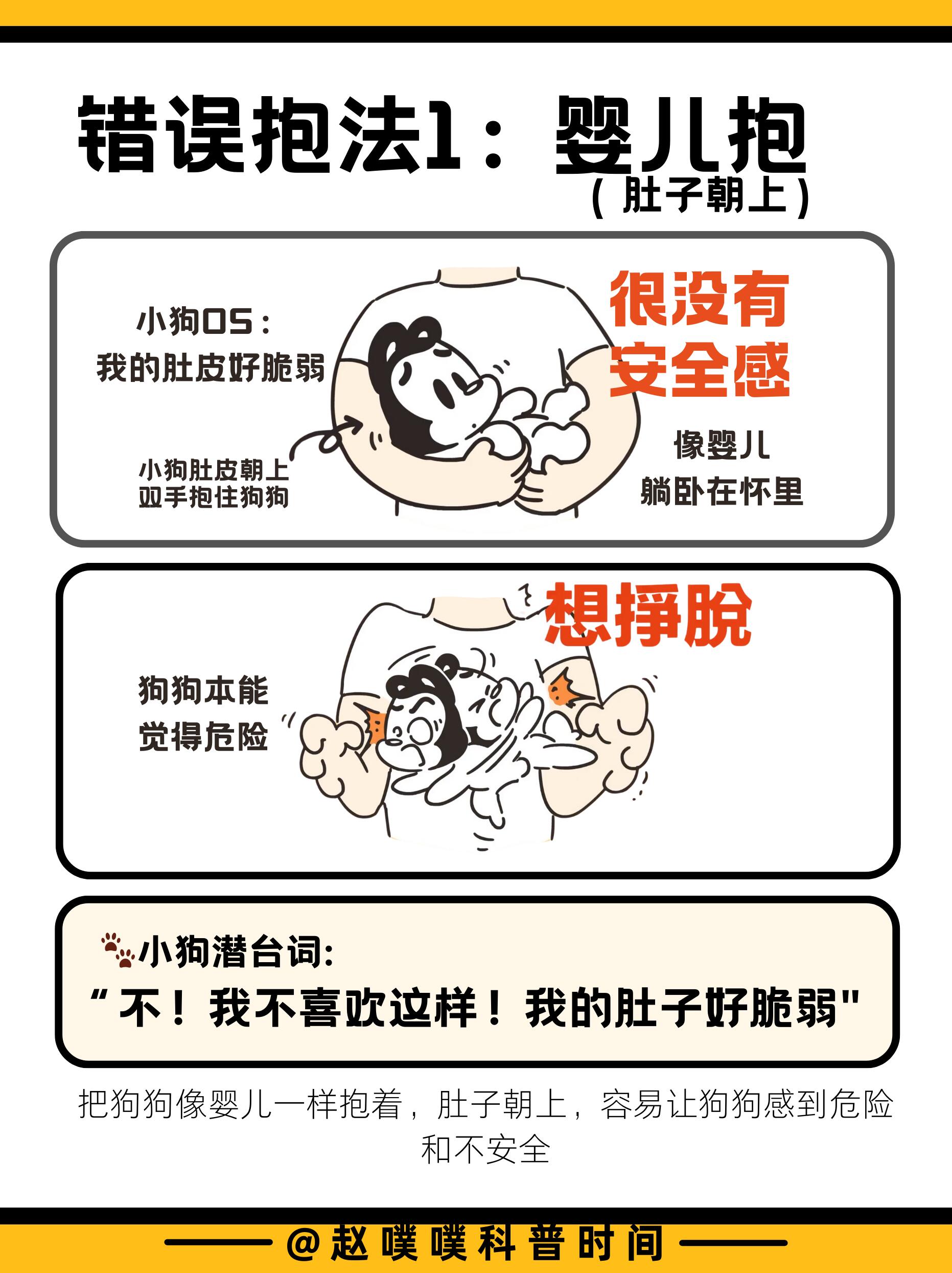 狗狗最怕的五种抱法，你无意中做过吗？ 第 2 张参考图