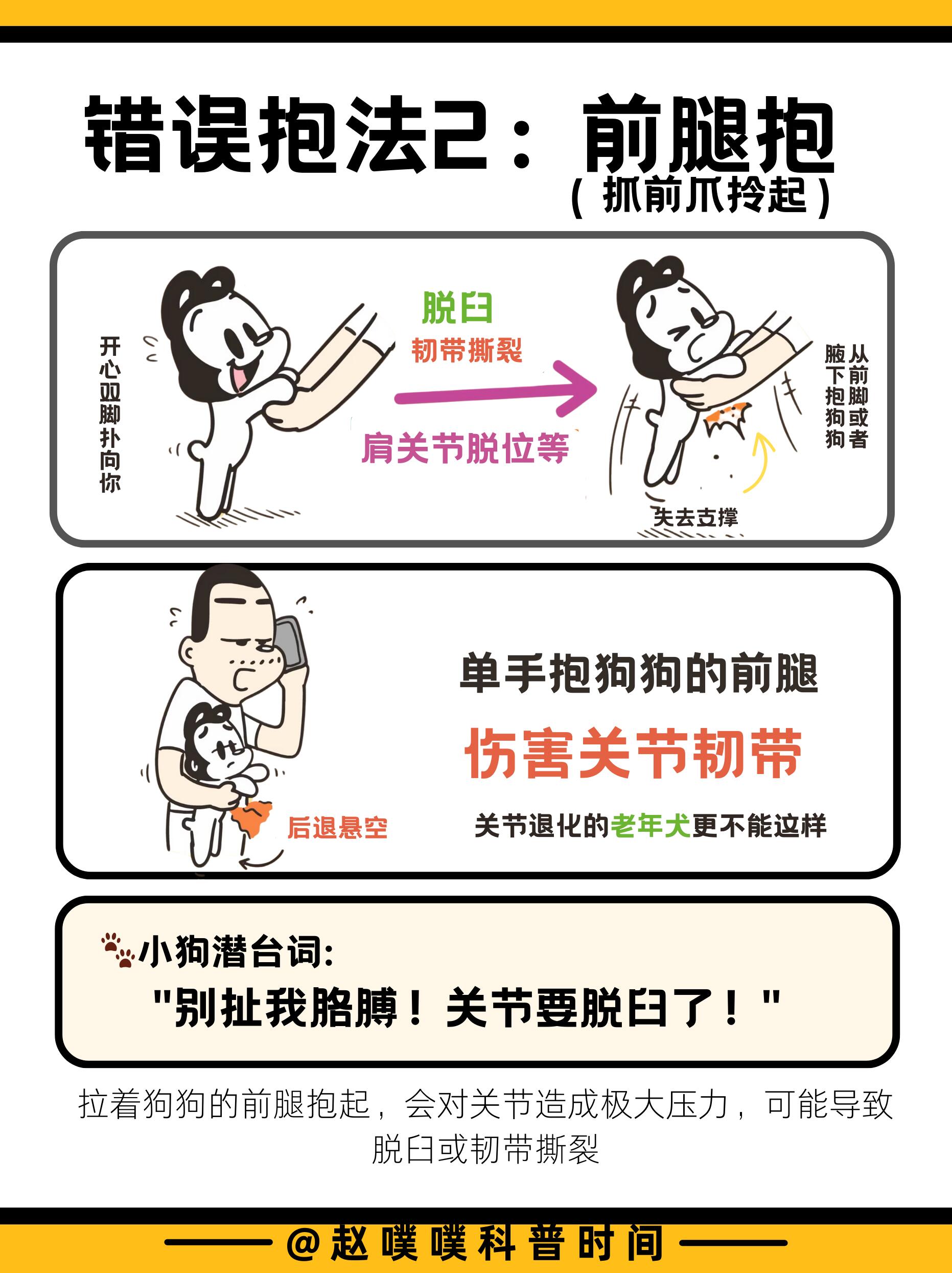 狗狗最怕的五种抱法，你无意中做过吗？ 第 3 张参考图