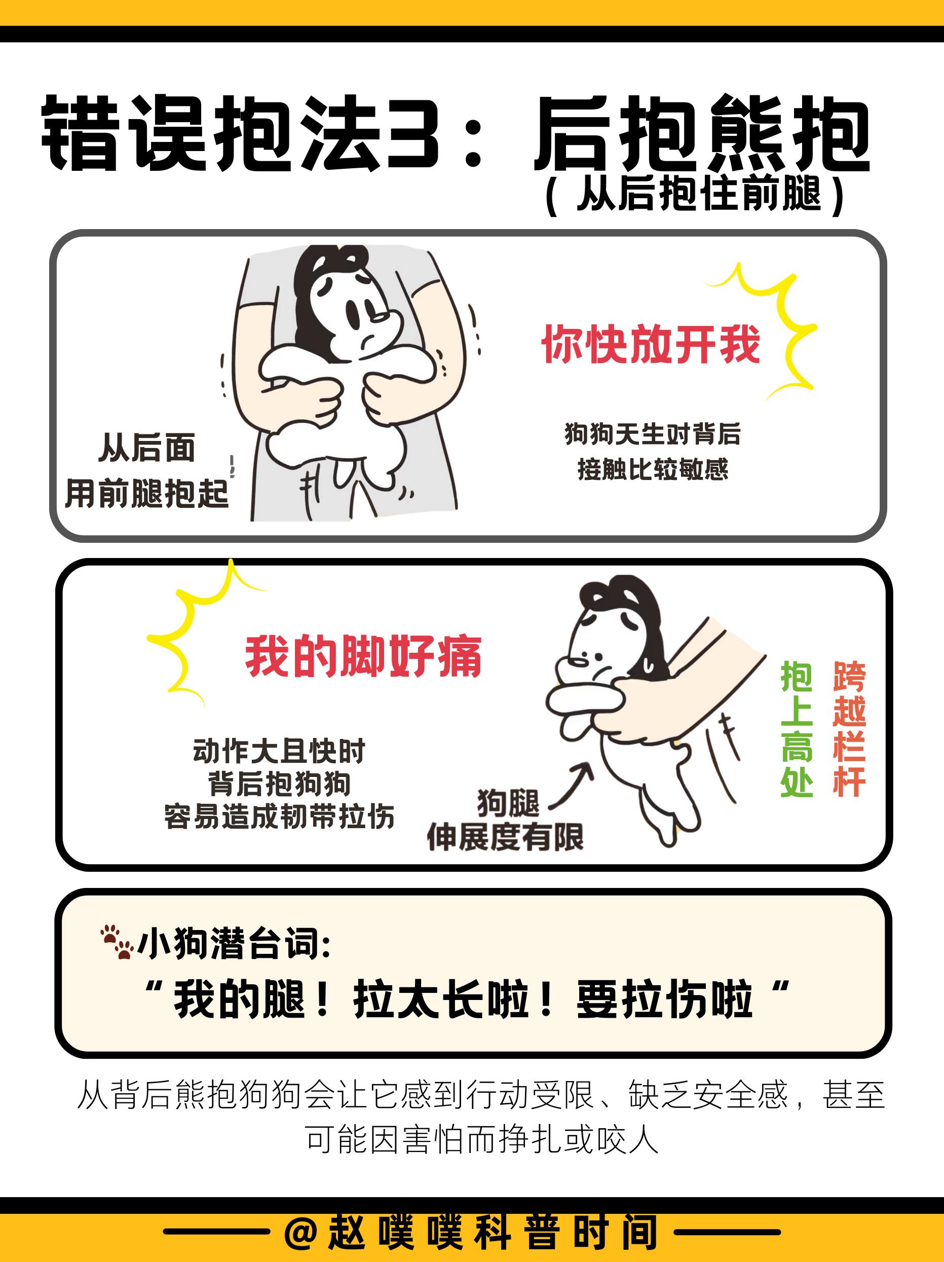 狗狗最怕的五种抱法，你无意中做过吗？ 第 4 张参考图