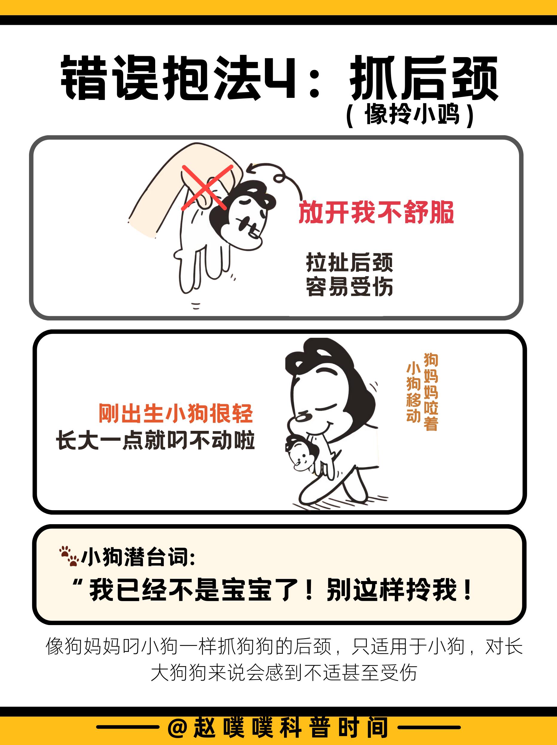 狗狗最怕的五种抱法，你无意中做过吗？ 第 5 张参考图