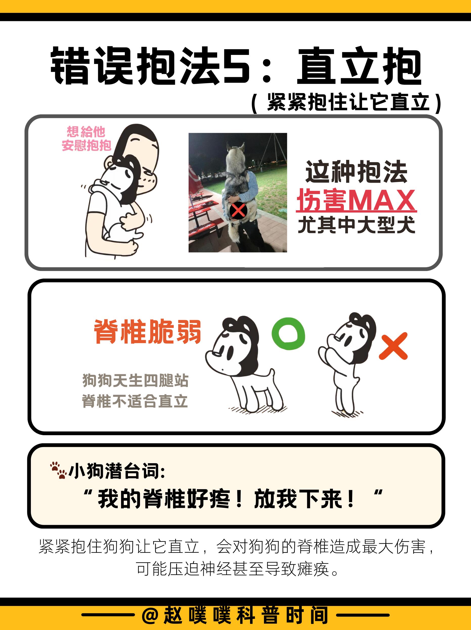 狗狗最怕的五种抱法，你无意中做过吗？ 第 6 张参考图