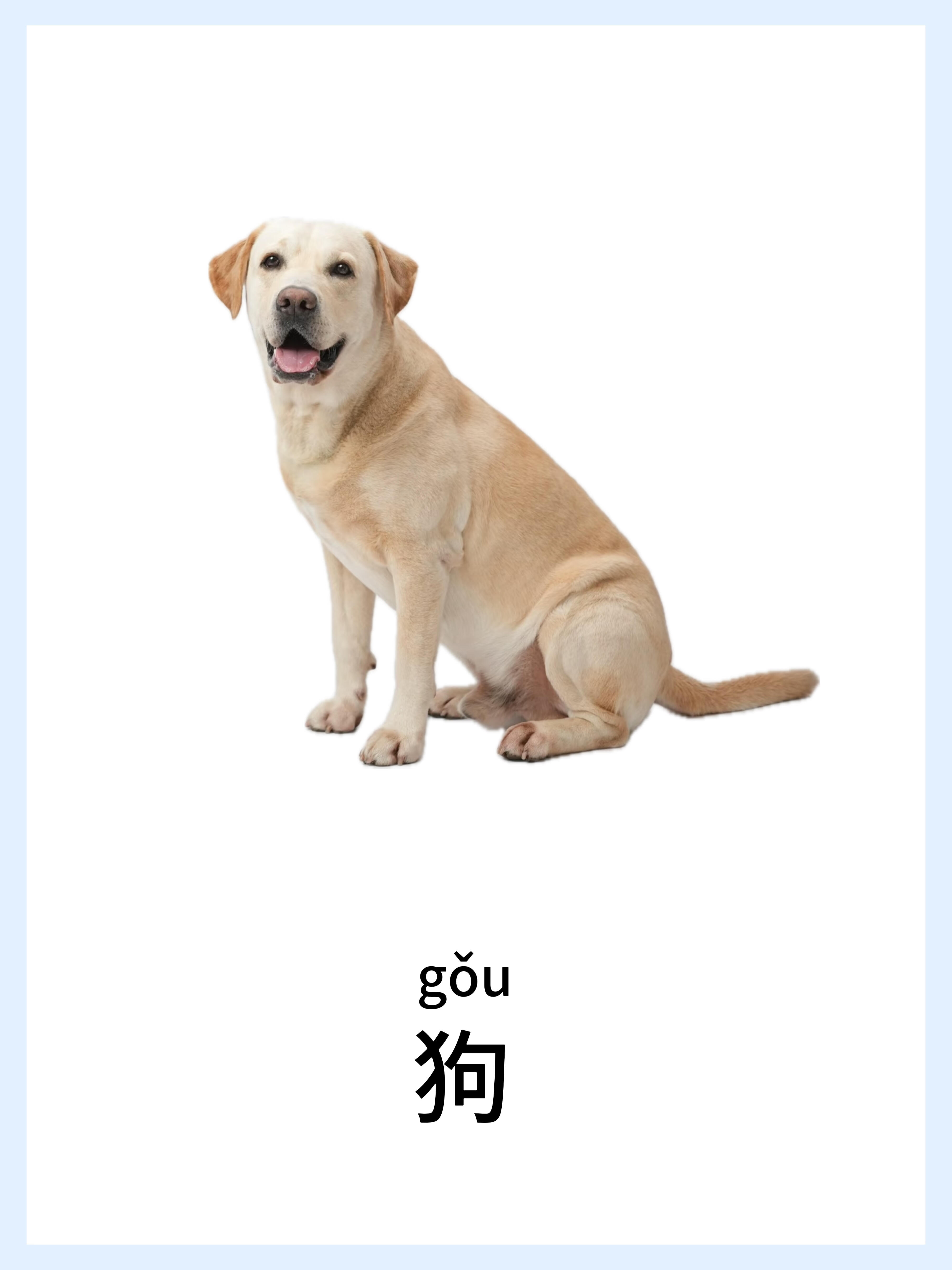 🔥宝宝早教启蒙-动物篇，认知小课堂！ 第 2 张参考图