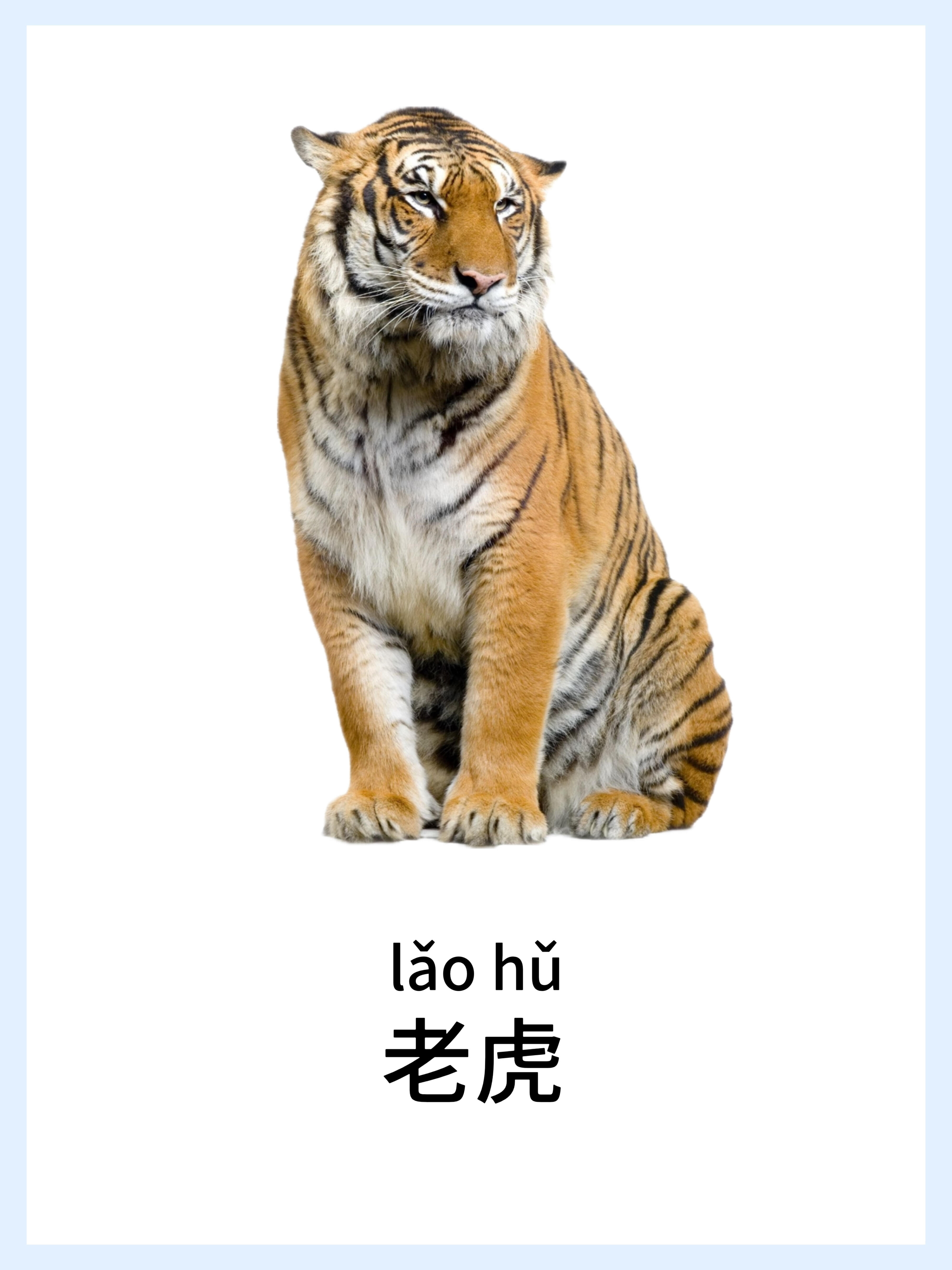 🔥宝宝早教启蒙-动物篇，认知小课堂！ 第 10 张参考图