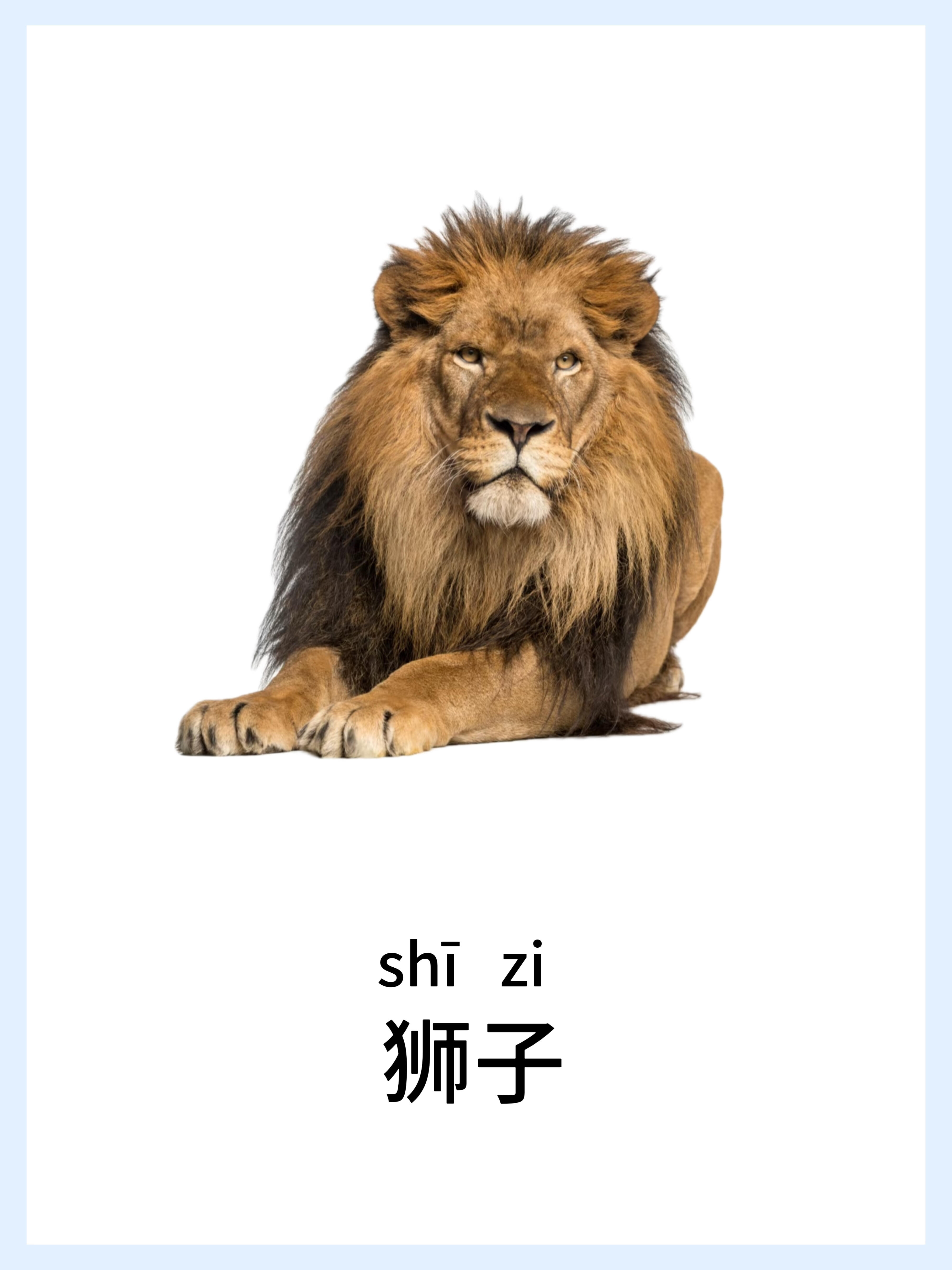 🔥宝宝早教启蒙-动物篇，认知小课堂！ 第 11 张参考图