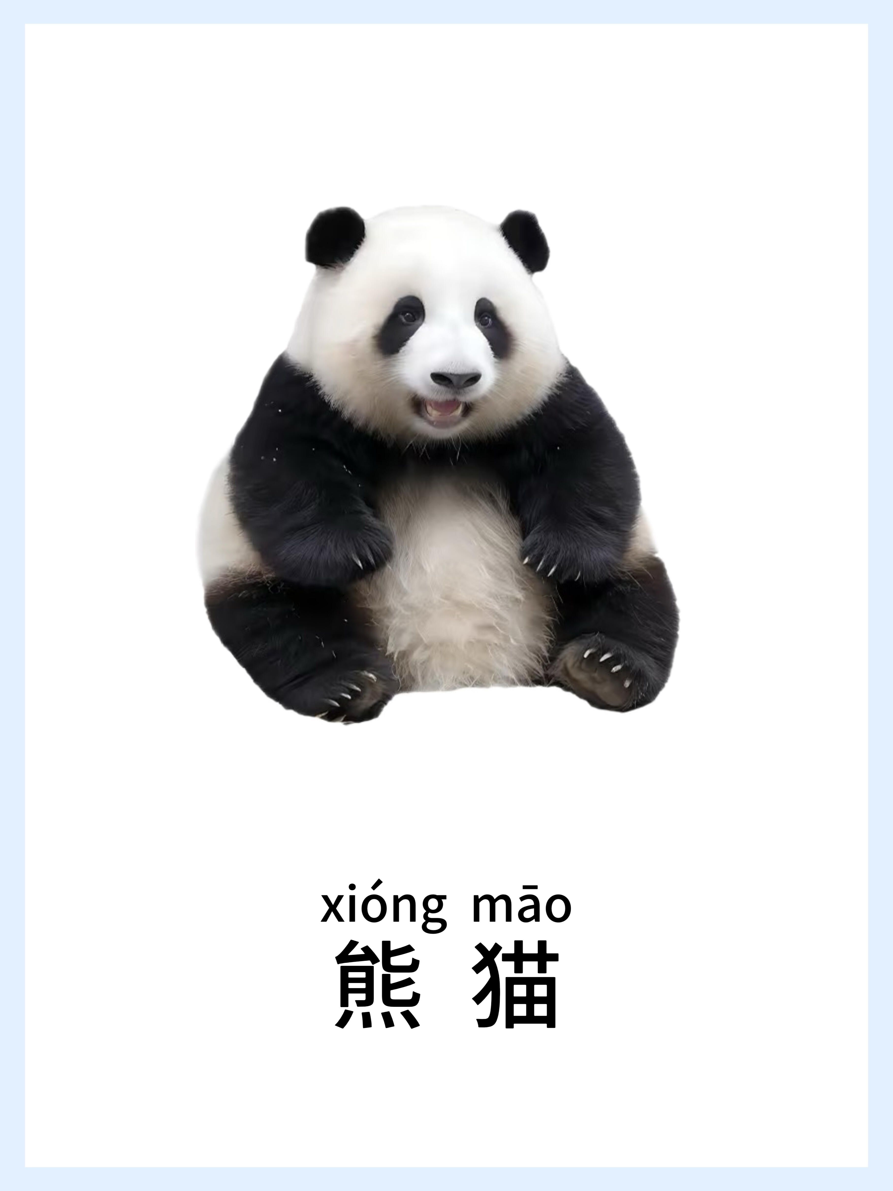 🔥宝宝早教启蒙-动物篇，认知小课堂！ 第 12 张参考图