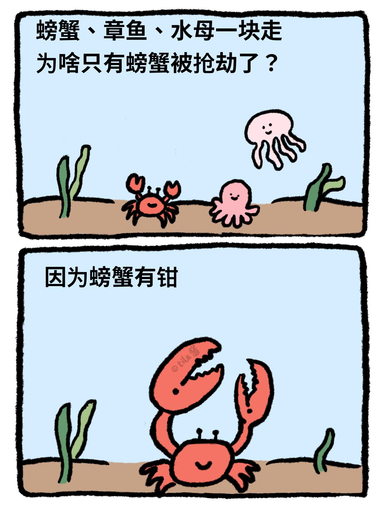 开海季，整点海底冷笑话 第 2 张参考图
