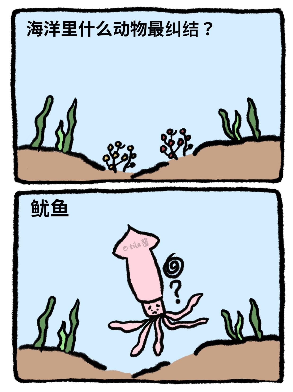 开海季，整点海底冷笑话 第 6 张参考图