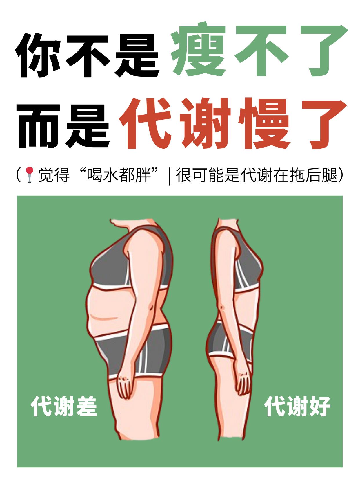 📢你不是瘦不了，而是代谢慢了！ 第 1 张参考图