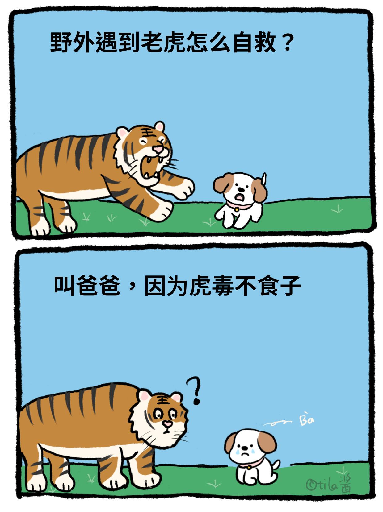 虎虎连环冷笑话，让你哈哈又哈哈 第 1 张参考图