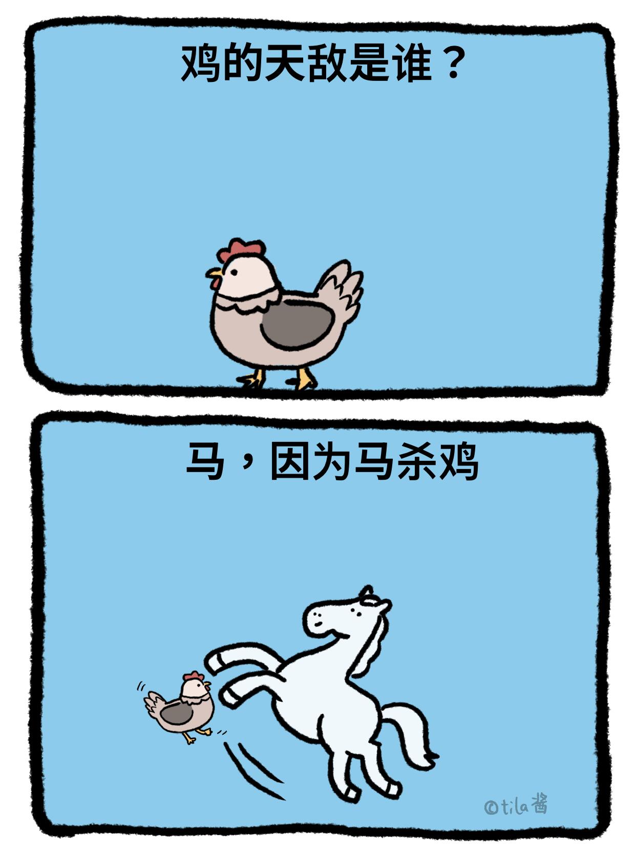 鸡，谁懂？ 第 2 张参考图
