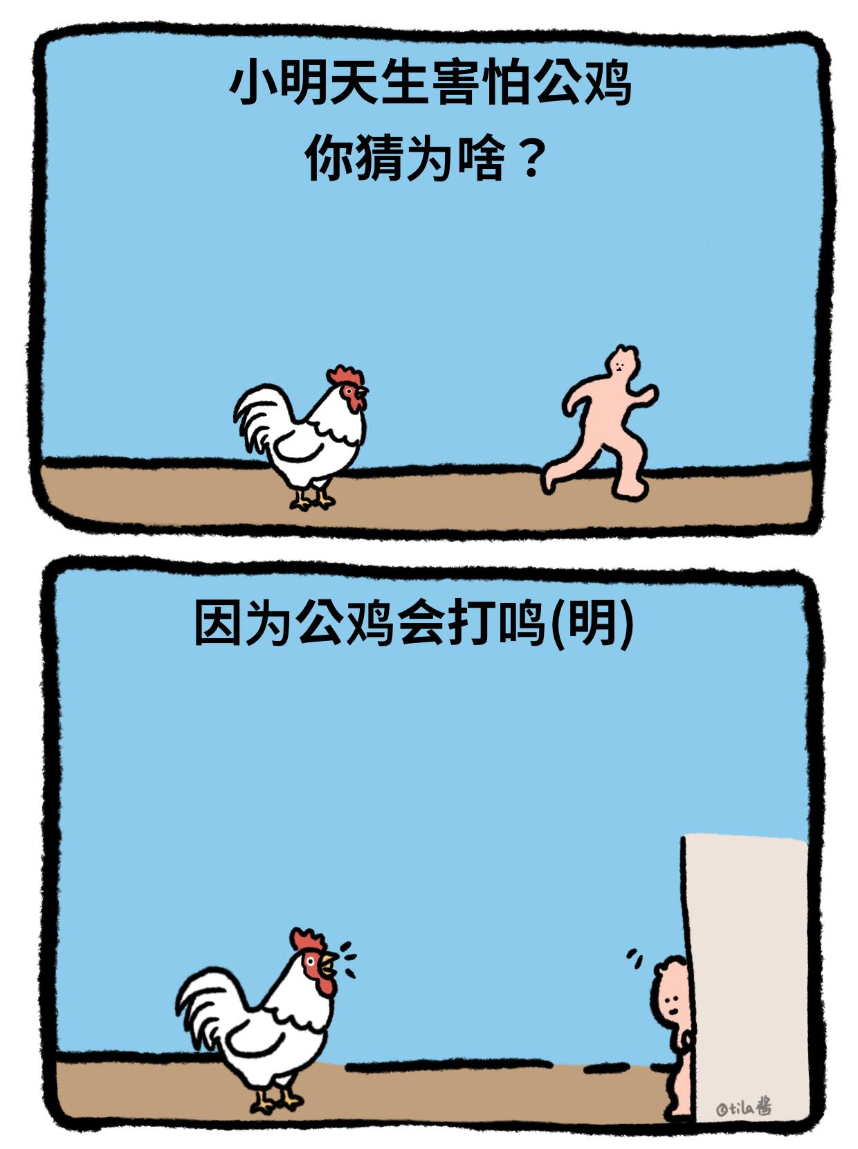 鸡，谁懂？ 第 4 张参考图