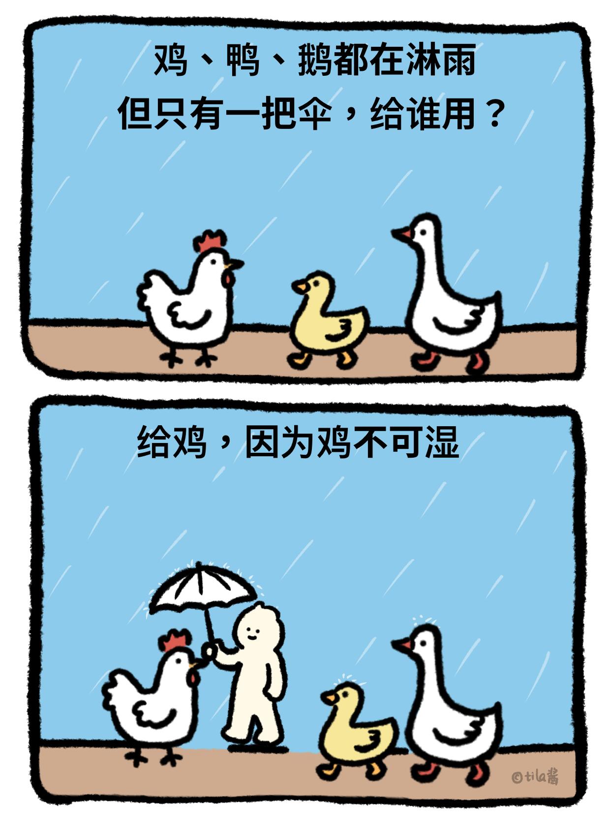 鸡，谁懂？ 第 5 张参考图