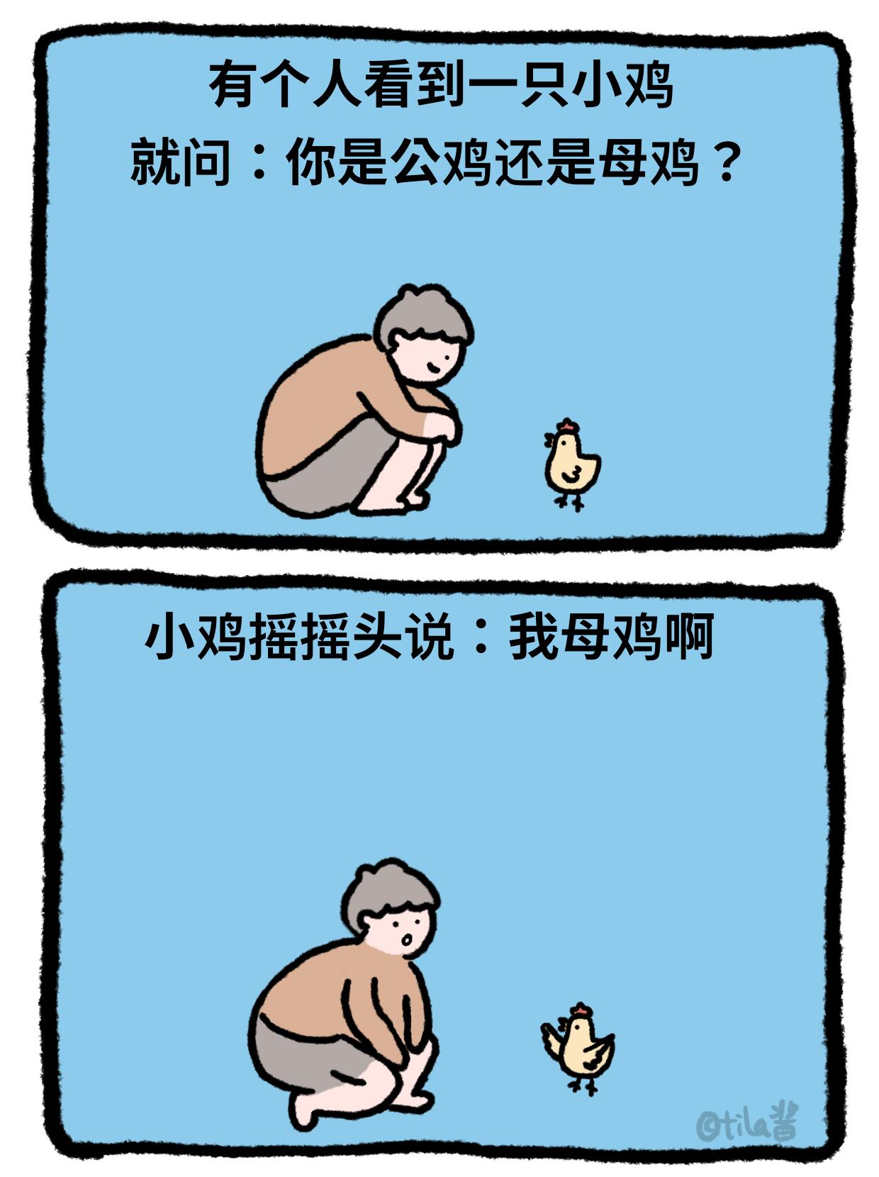 鸡，谁懂？ 第 6 张参考图