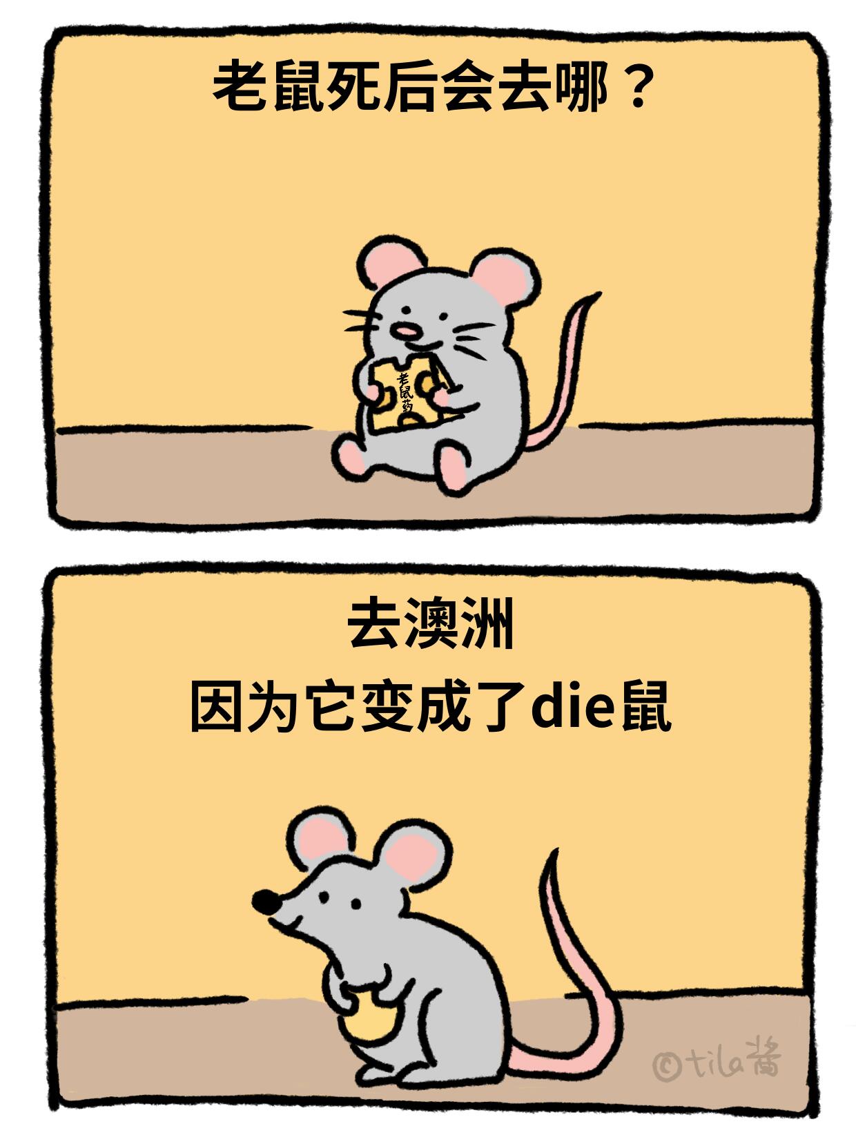 鼠鼠我啊，闹了不少笑话 第 1 张参考图