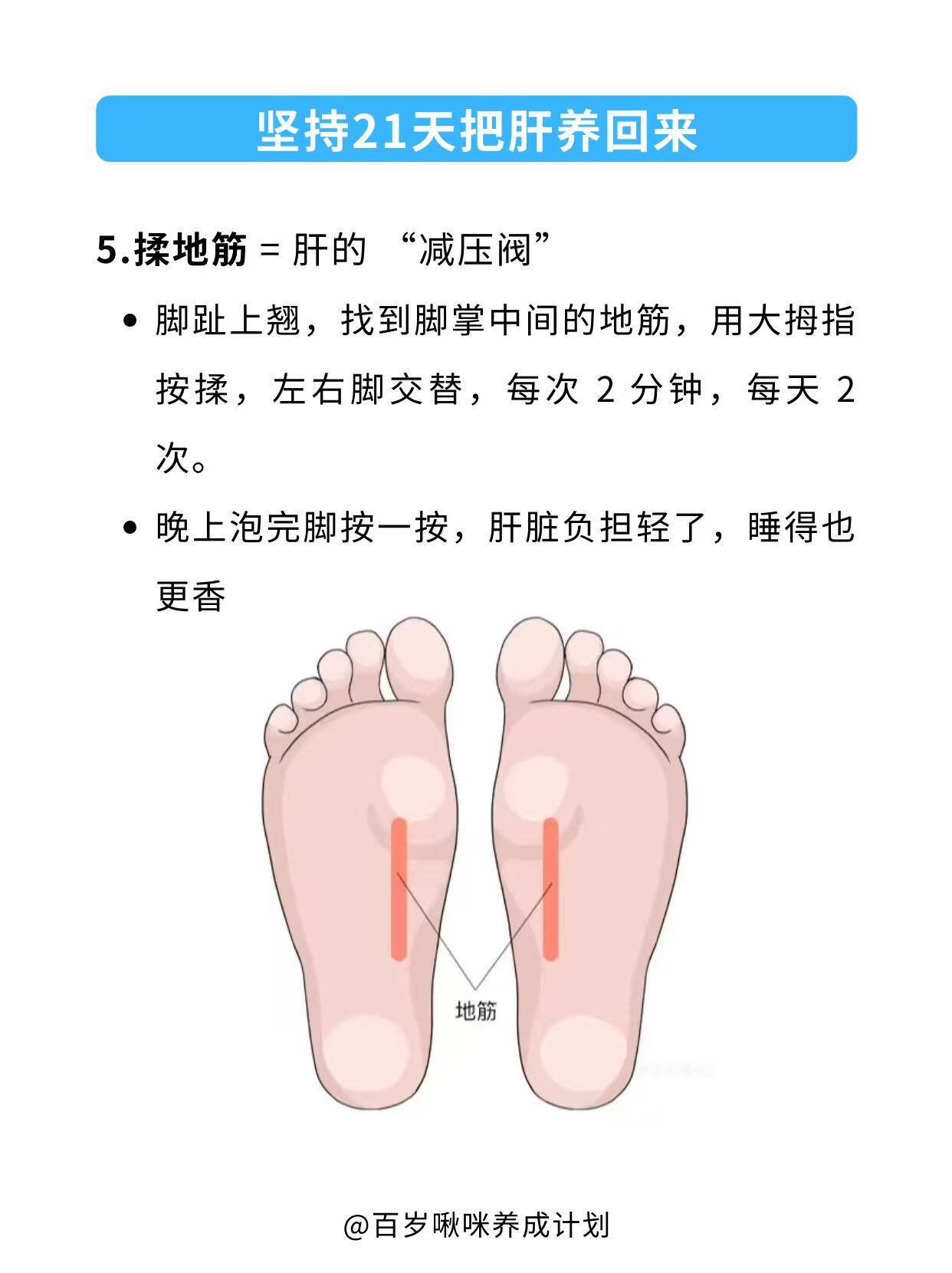 坚持21天，养出健康肝！💪 第 7 张参考图